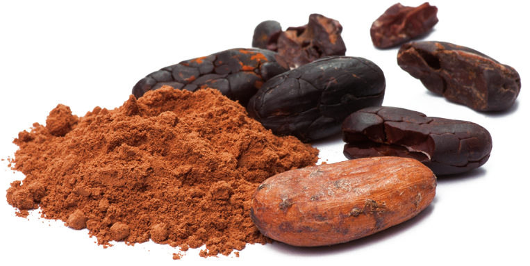 Cacao Beansand Powder PNG