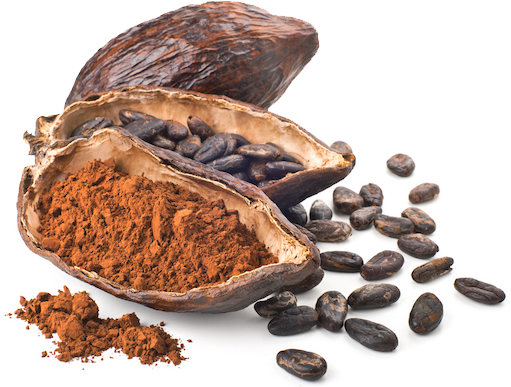 Cacao Pod Beansand Powder PNG