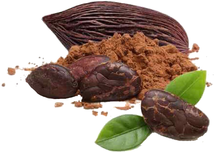 Cacao Podsand Powder PNG