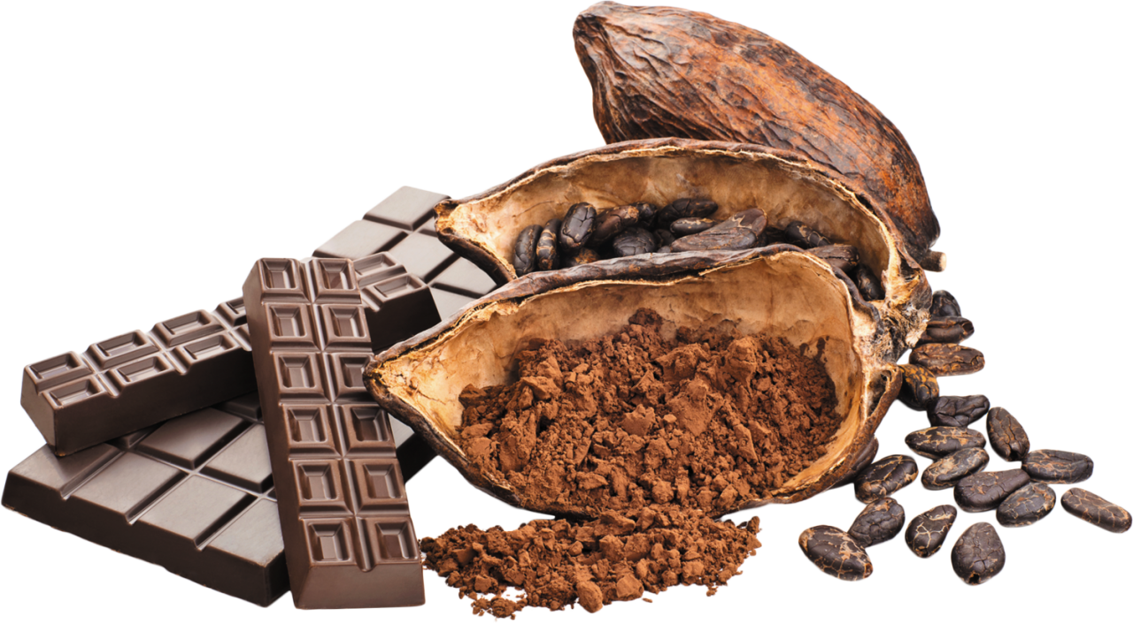 Cacaoto Chocolate Transformation PNG