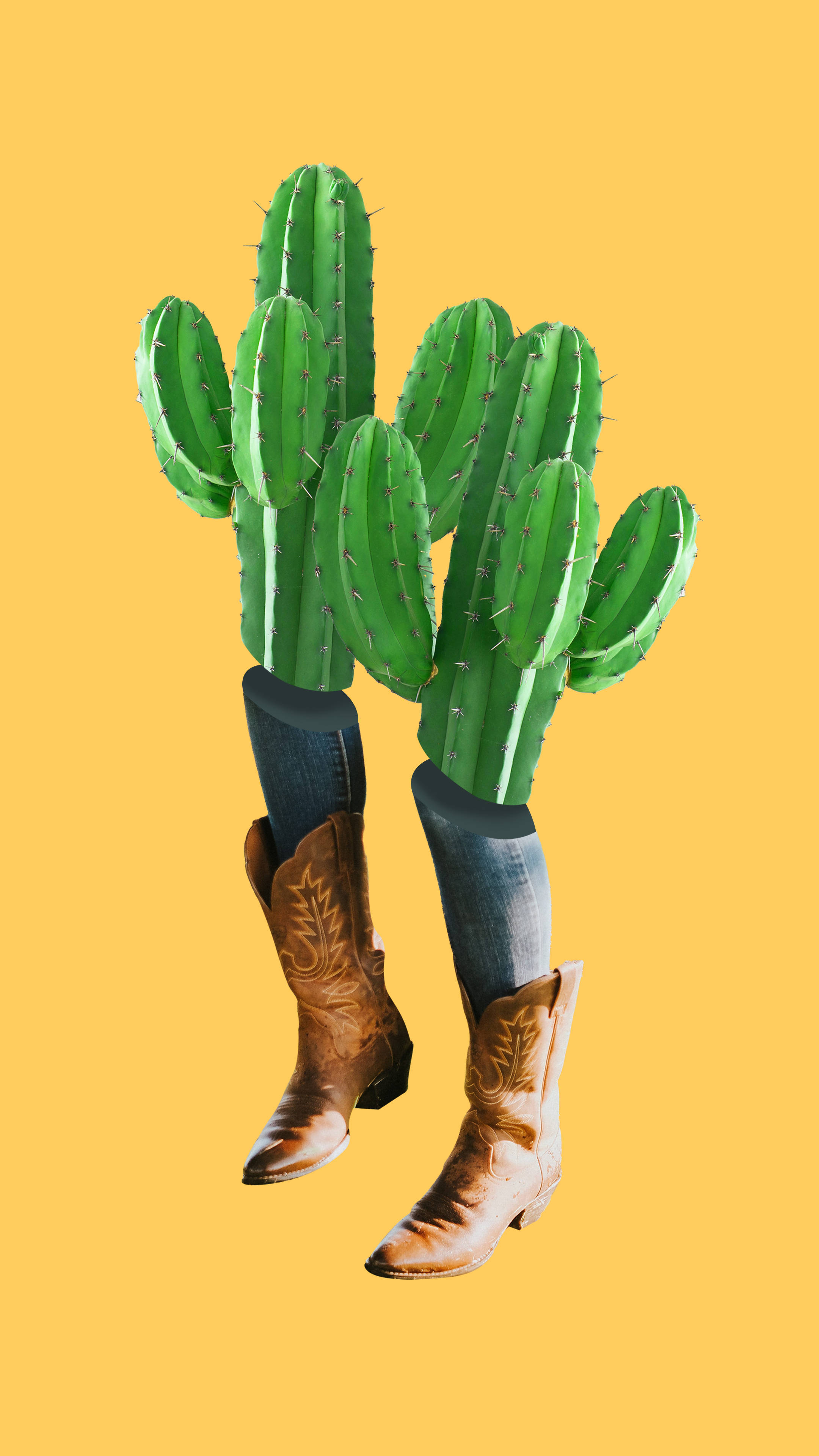 Cacti Boots Western Aesthetic Wallpaper