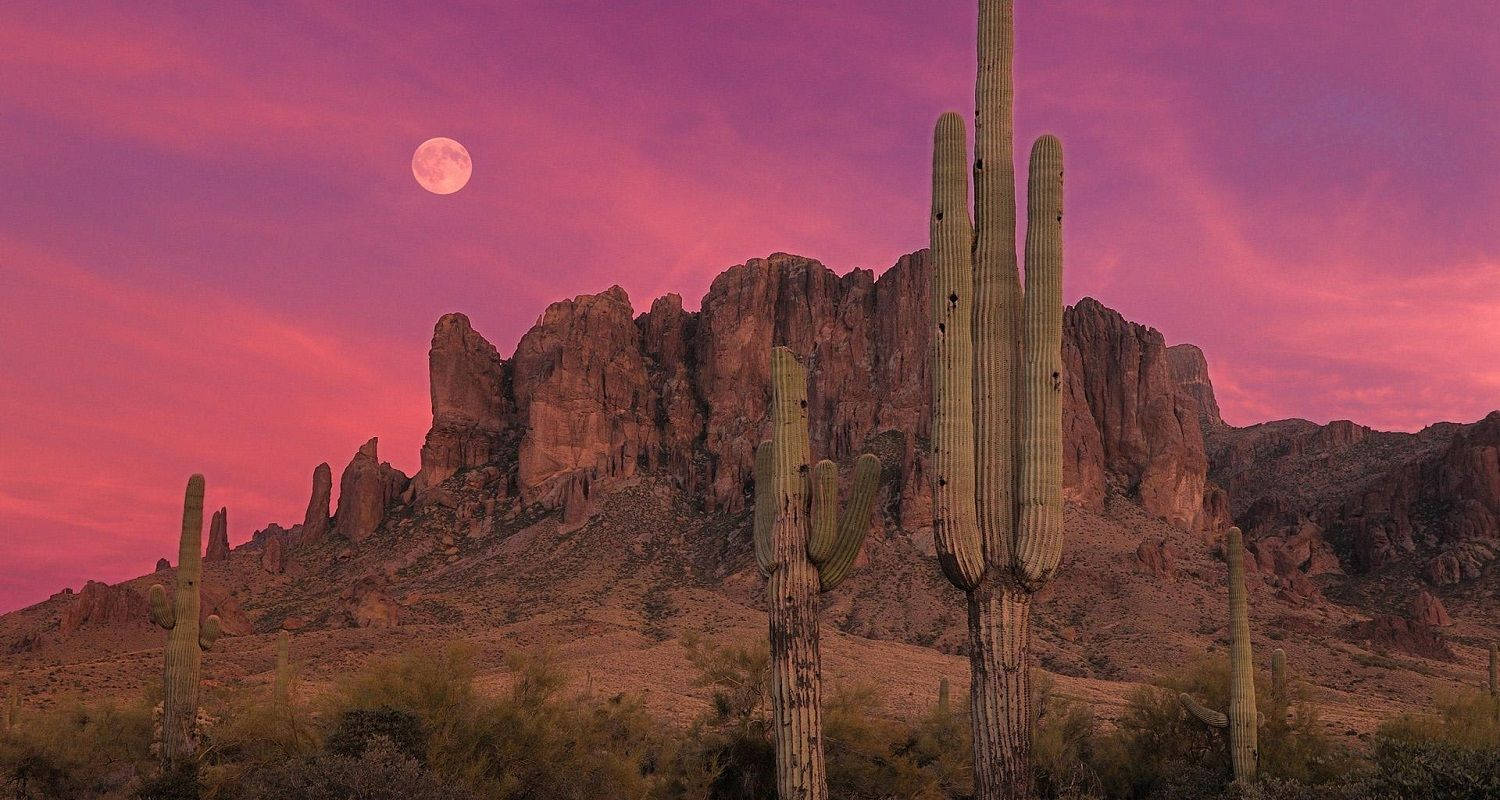 Cactoe Céu Rosa No Deserto Do Arizona. Papel de Parede