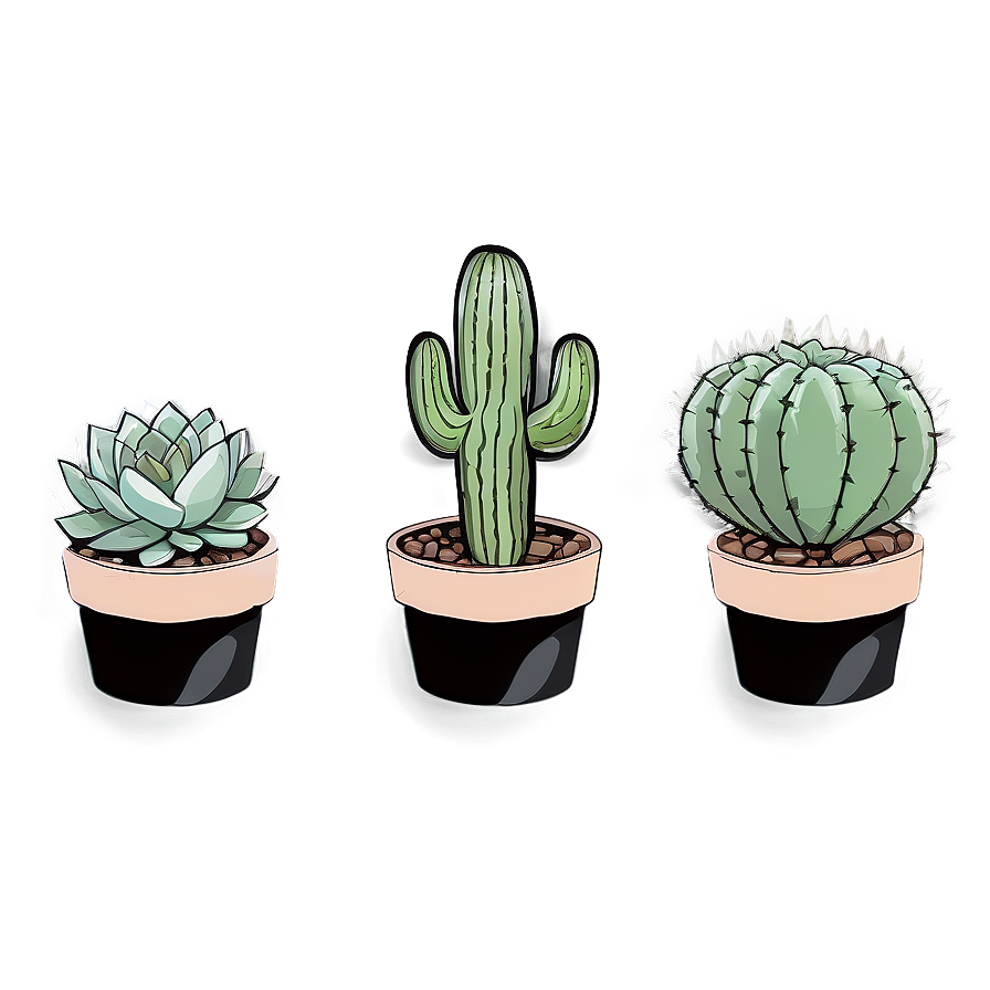 Cactus And Succulents Png 06212024 PNG
