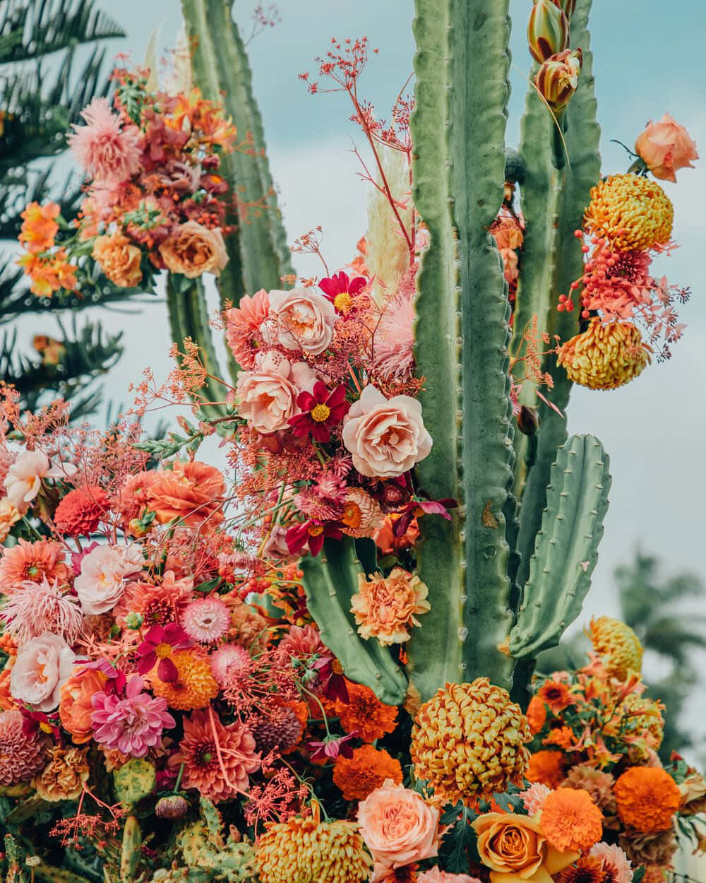 Cactus Flower Decoration Wallpaper
