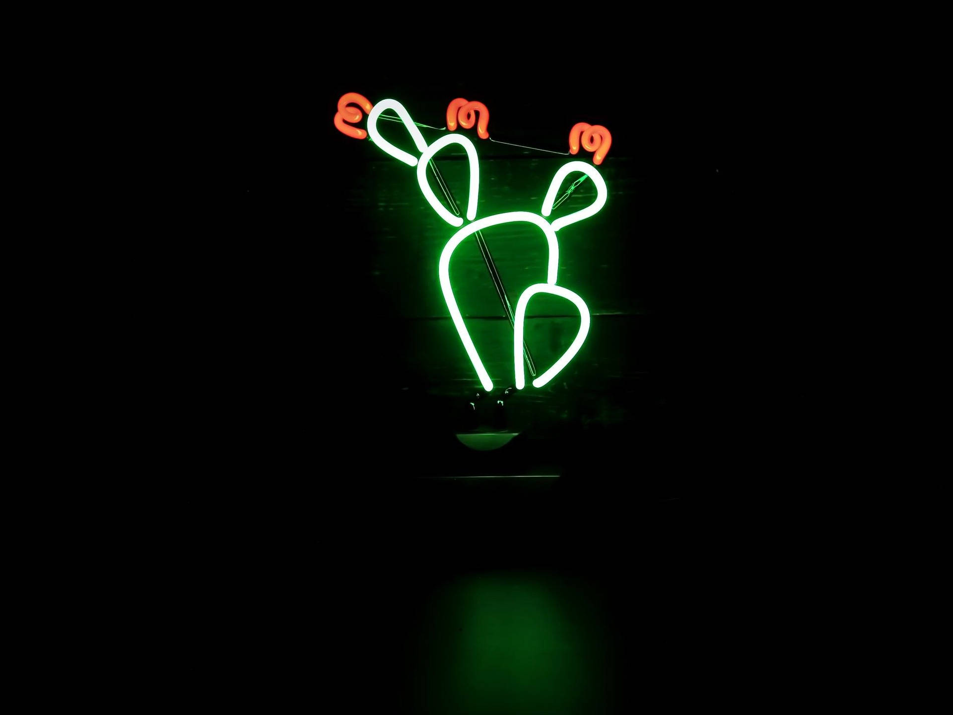 Cactus Flowers Neon Green Aesthetic Wallpaper
