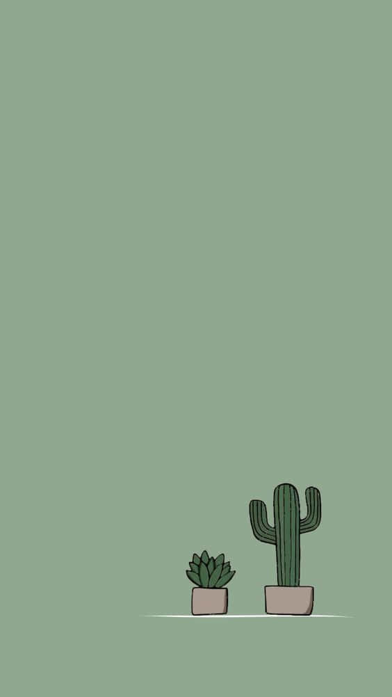 Free Cactus Iphone Wallpaper Downloads, [100+] Cactus Iphone Wallpapers for  FREE 