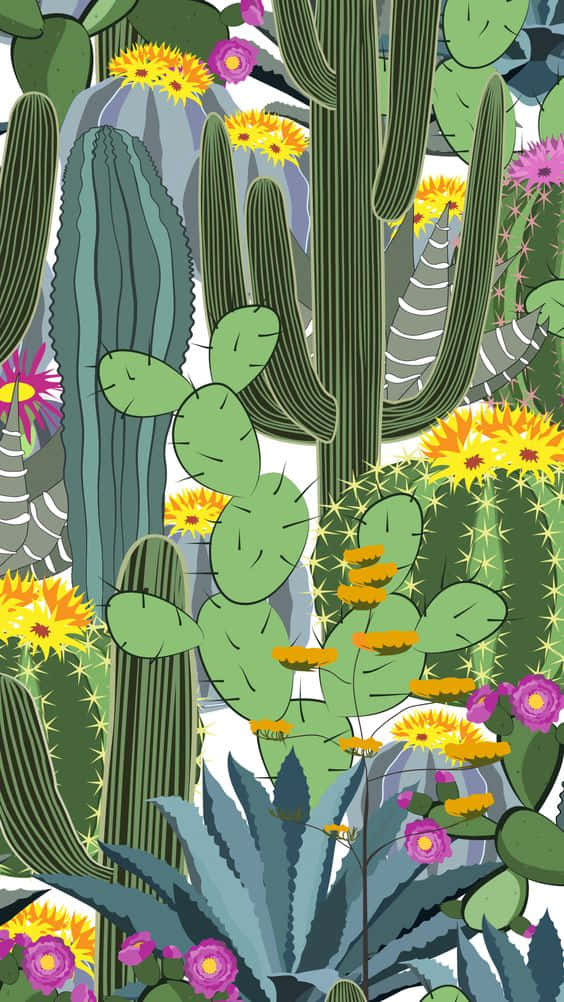 En Cactus iPhone bringer naturen til din tech liv! Wallpaper