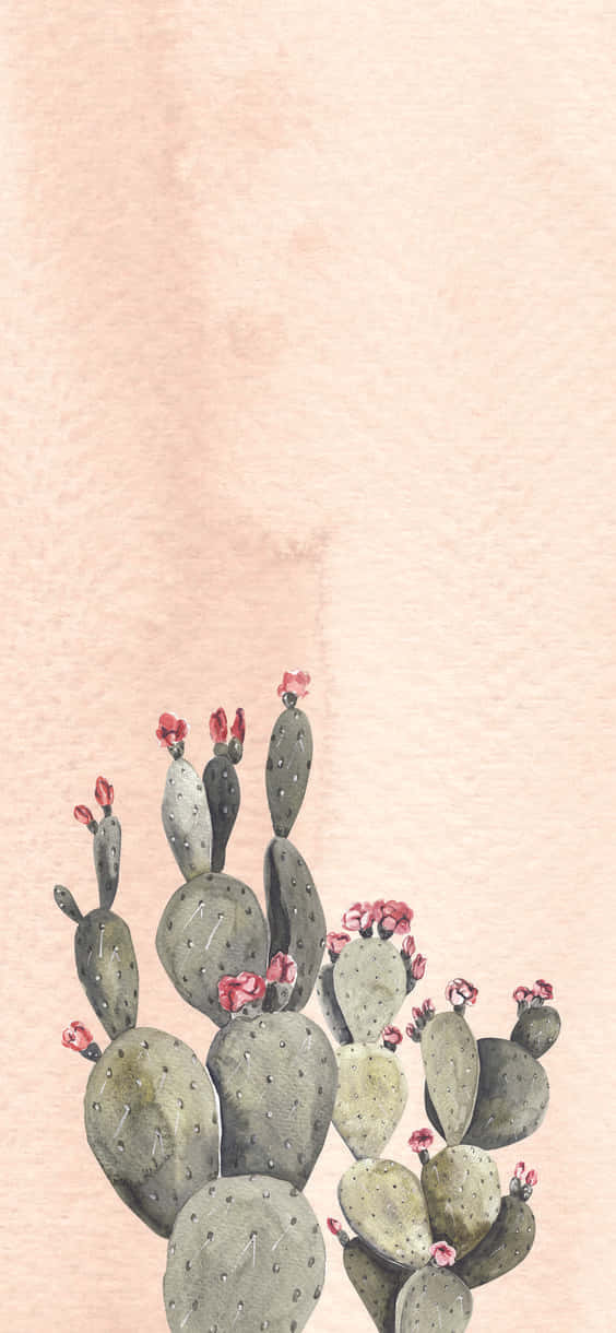 Kaktusiphone-målning. Wallpaper