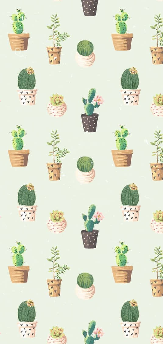 Nyd skønheden af ​​naturen med vores kaktus Iphone tapet. Wallpaper