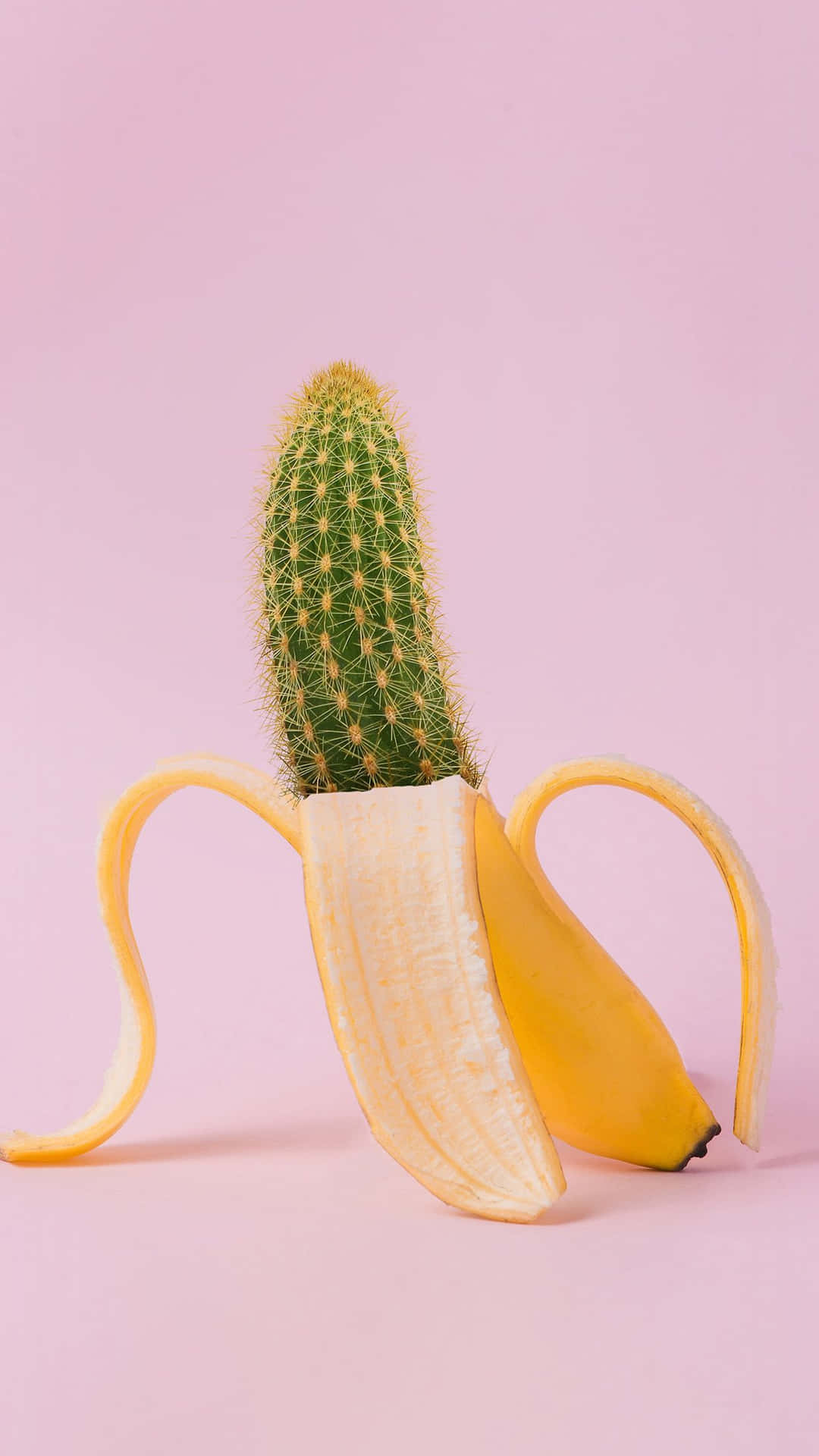Kaktusiphone Banan. Wallpaper