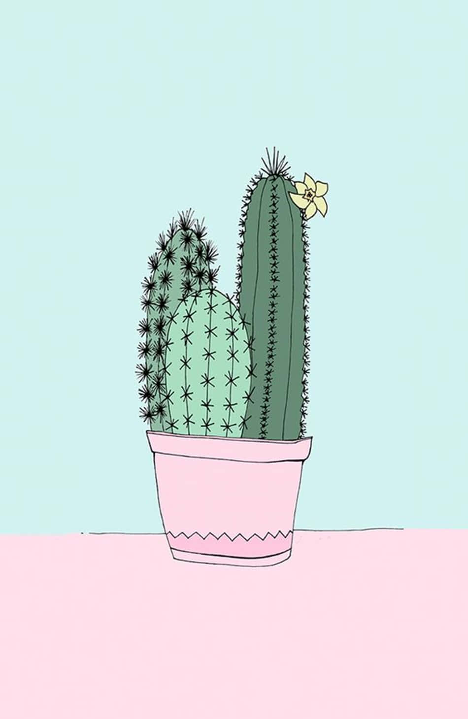 Cactus Iphone Pink Blue Wallpaper