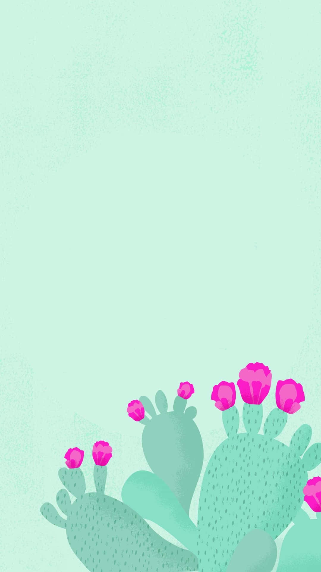 Enkaktusväxt Med Rosa Blommor På En Grön Bakgrund. Wallpaper