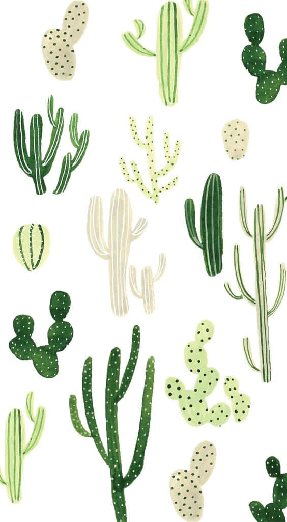 Kaktusser planter i forskellige farver Wallpaper