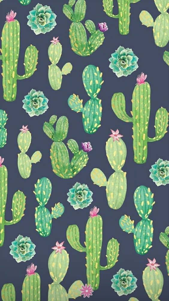 Kaktusiphone Zeichnung Wallpaper