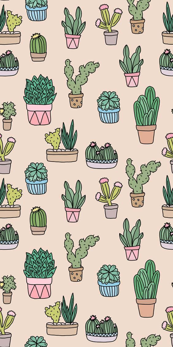 Se cool ud med kaktus iphone tapet. Wallpaper