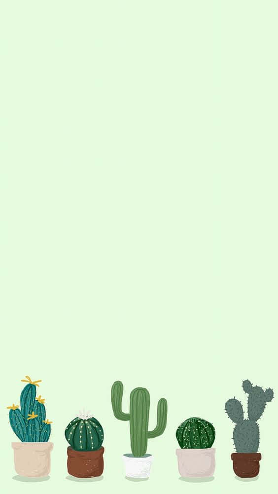 Iphone Kaktus 564 X 1002 Wallpaper