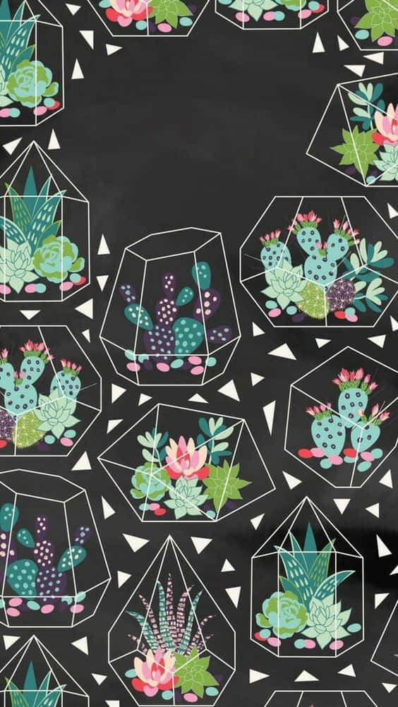 Let the Cactus Iphone spice up your summer Wallpaper