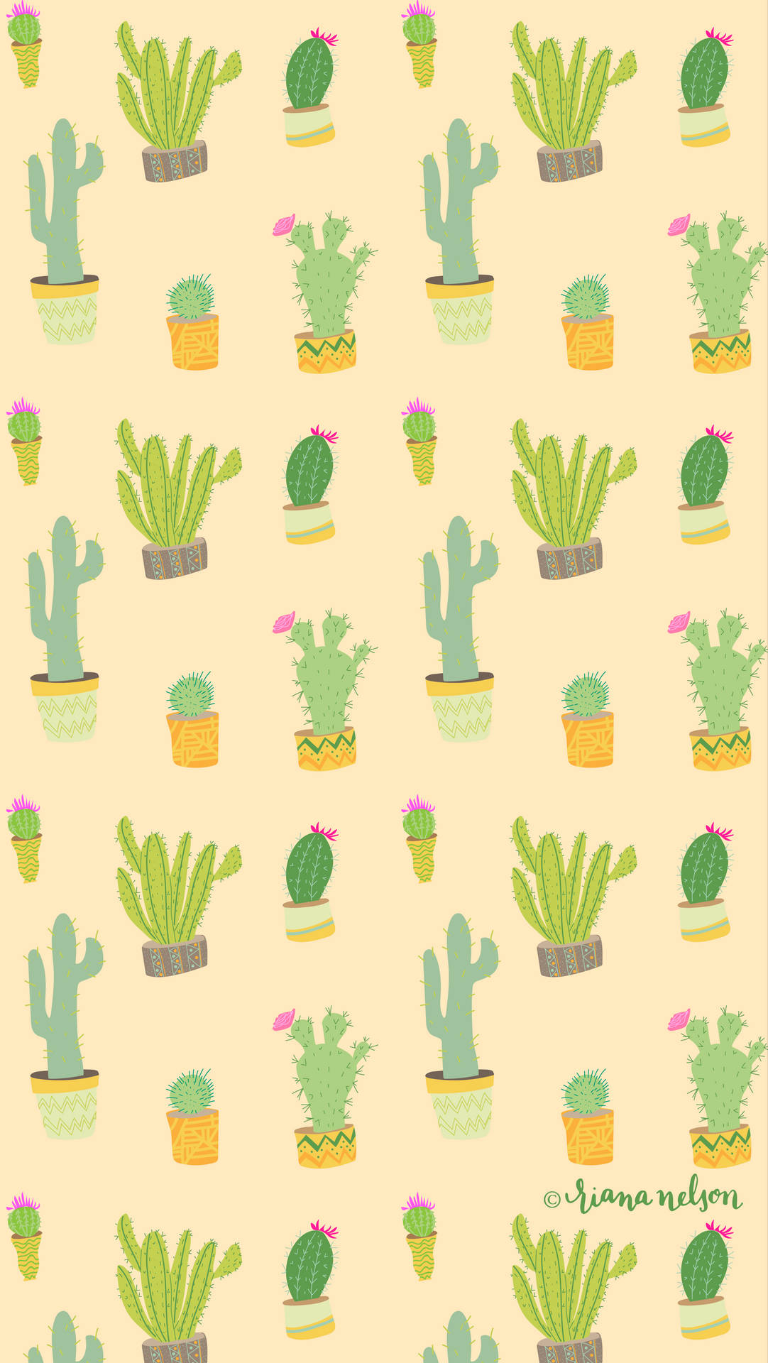 Cacti and Succulents Together for an Unforgettable Party Wallpaper
