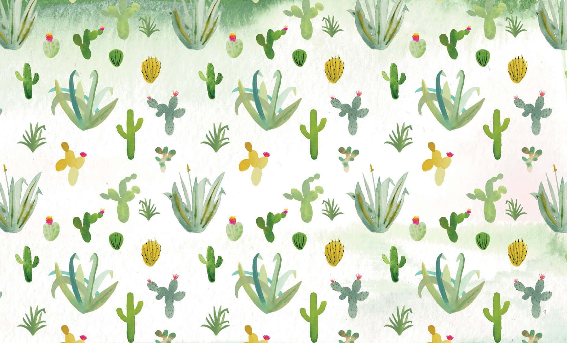 Sød Kaktus Forår Mønster Billede tapet
