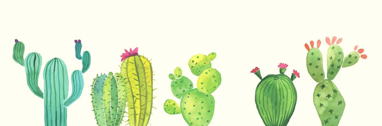 Cute Cactus Watercolor Painting Picture