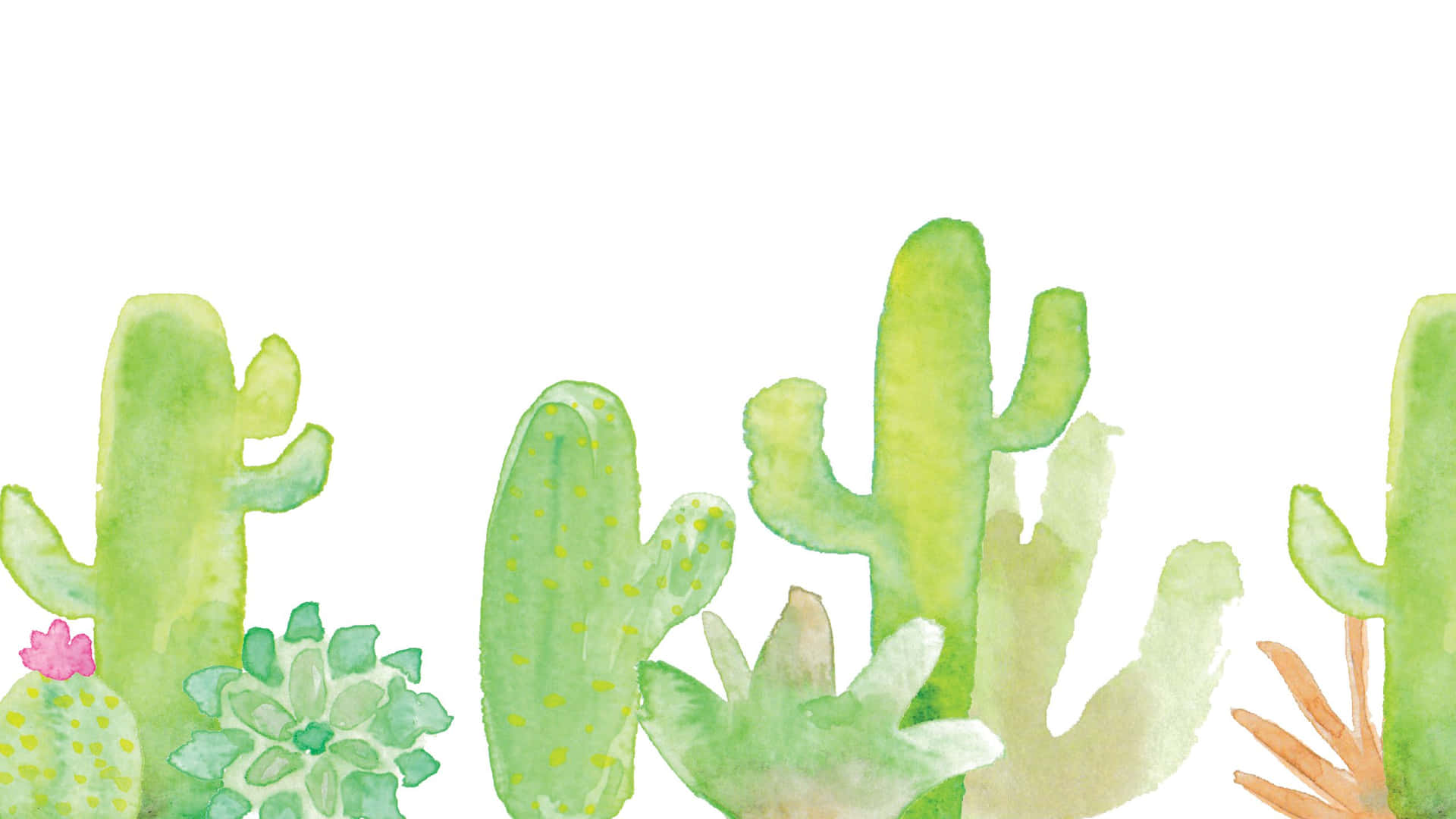 Cactus Plant Watercolor Painting Picture