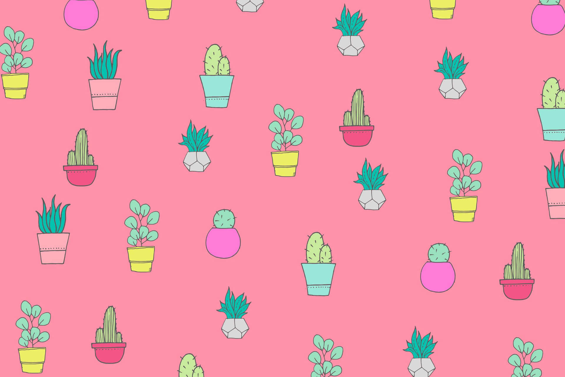 Kaktusmönster,rosa Estetiska Bilder