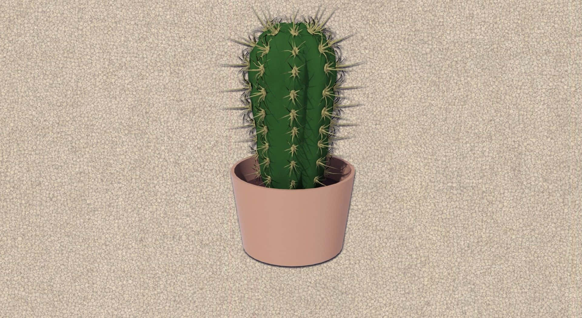 Niedlichesbild Von Einem Kaktus Als Zimmerpflanze.
