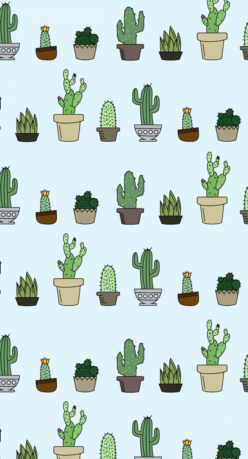 Cute Cactus Green Pattern Picture