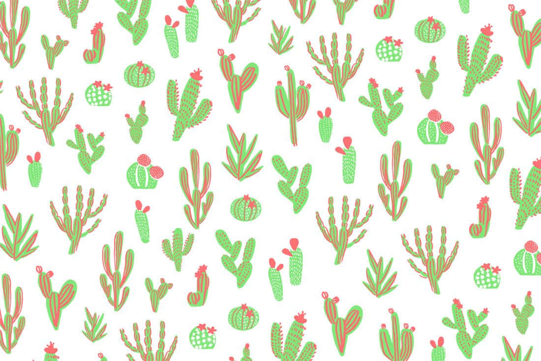 Kaktusmønsterforårsbillede.