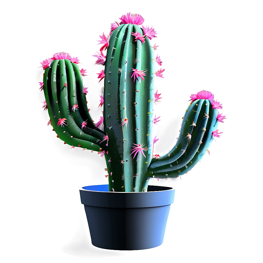 Cactus Plant Png Jke22 PNG