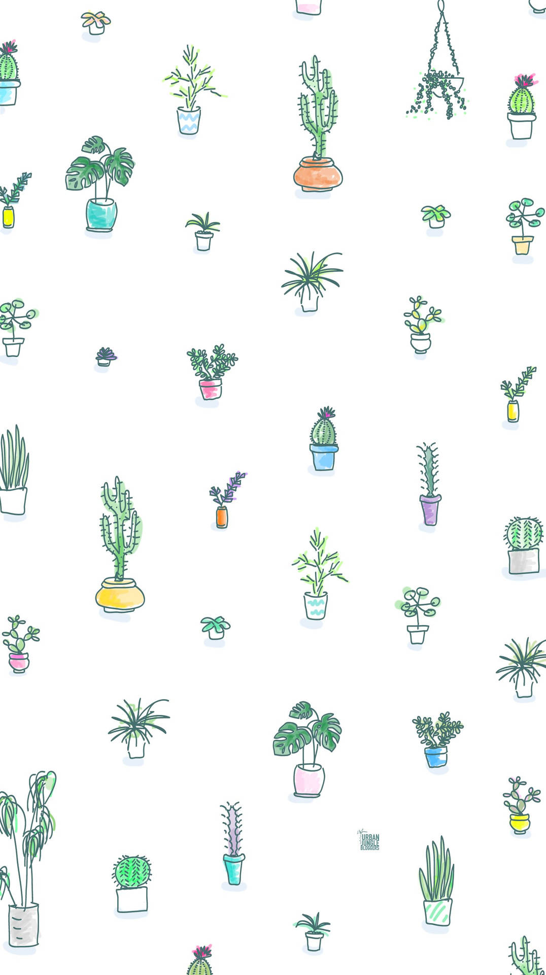 Cactus Plants Cute Iphone Lock Screen