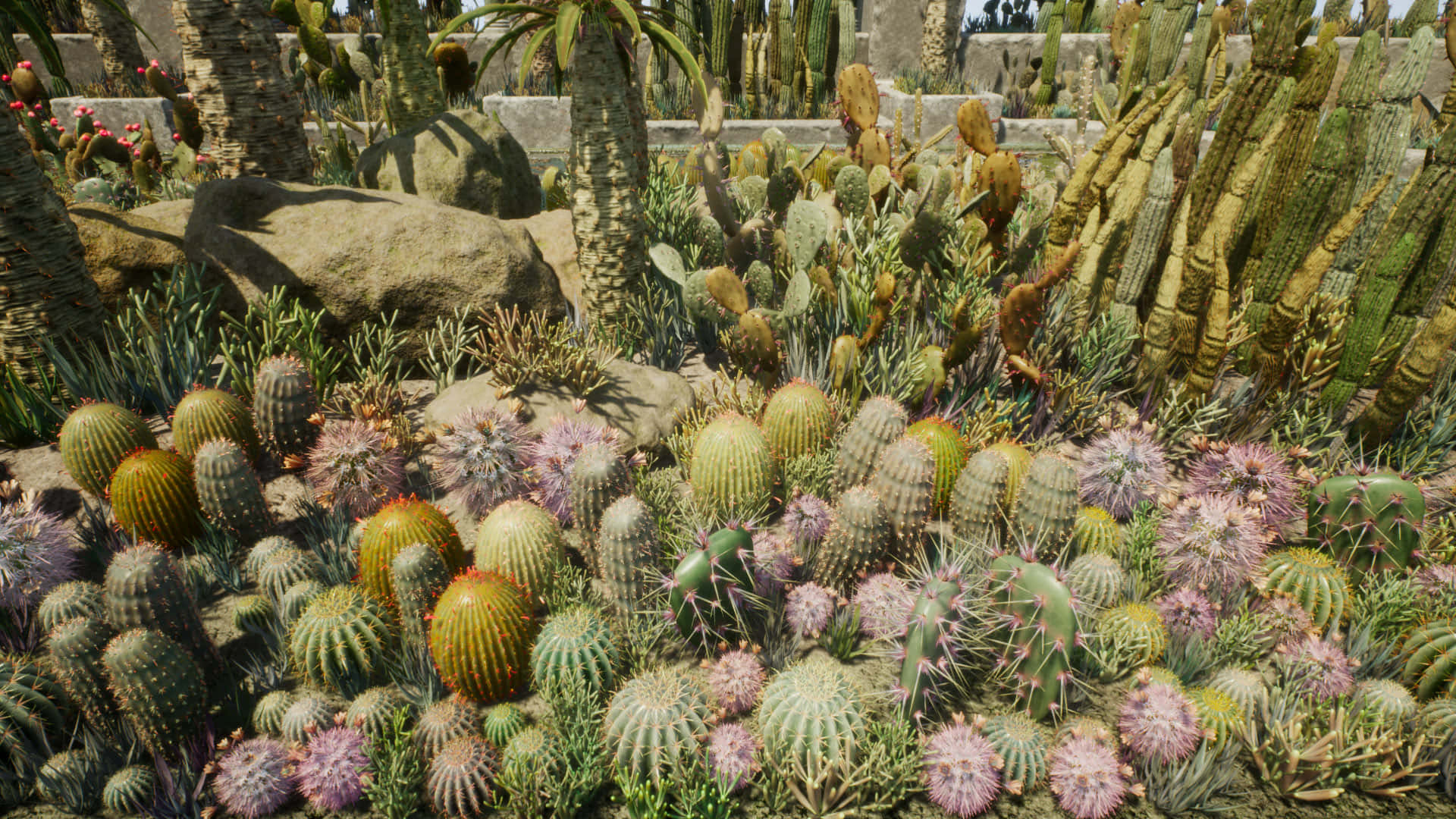 An array of vibrant cacti plants bursting in colour.