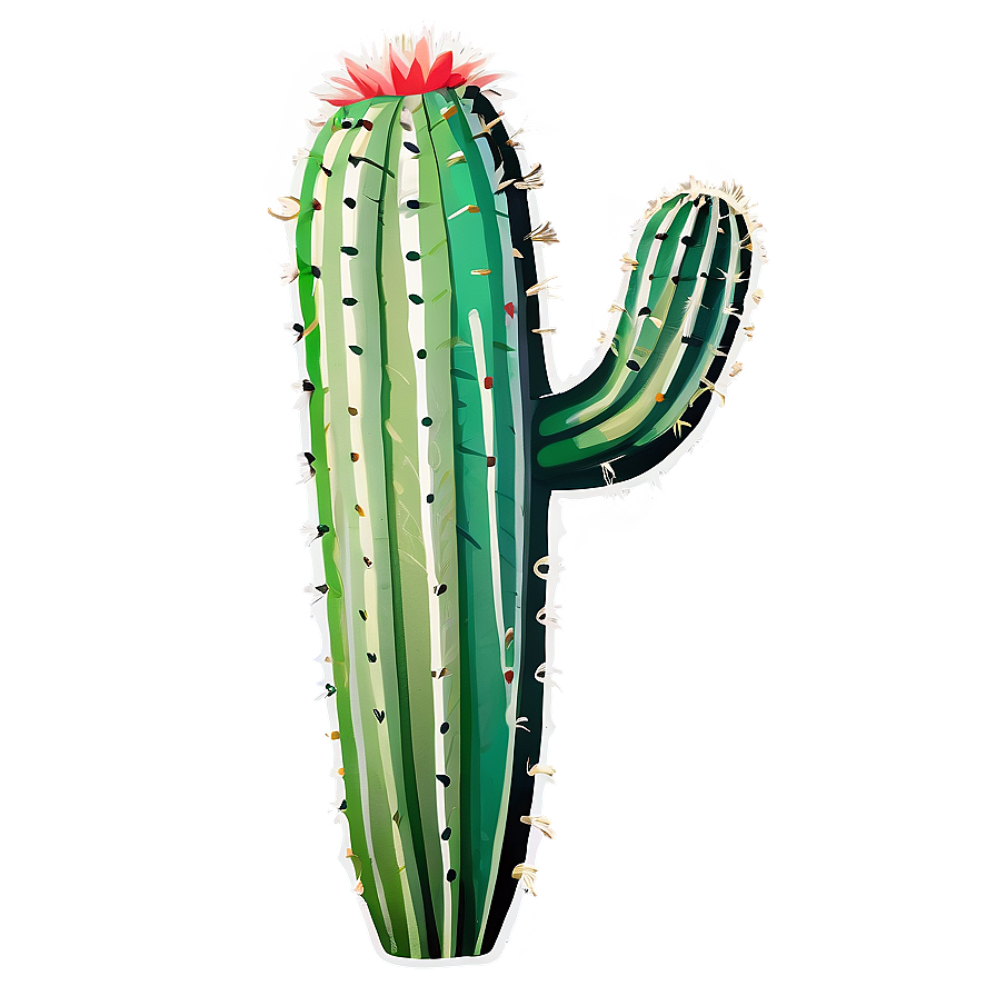 Cactus Print Png 05032024 PNG