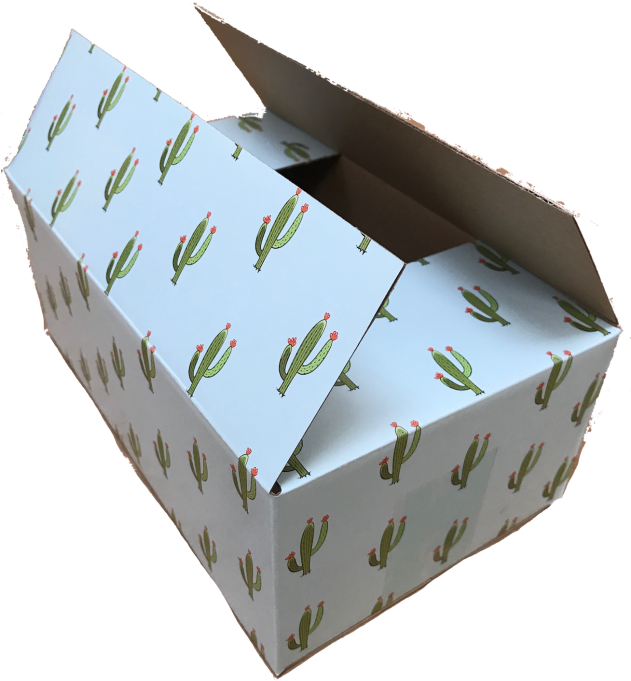 Cactus Print Shipping Box Open PNG