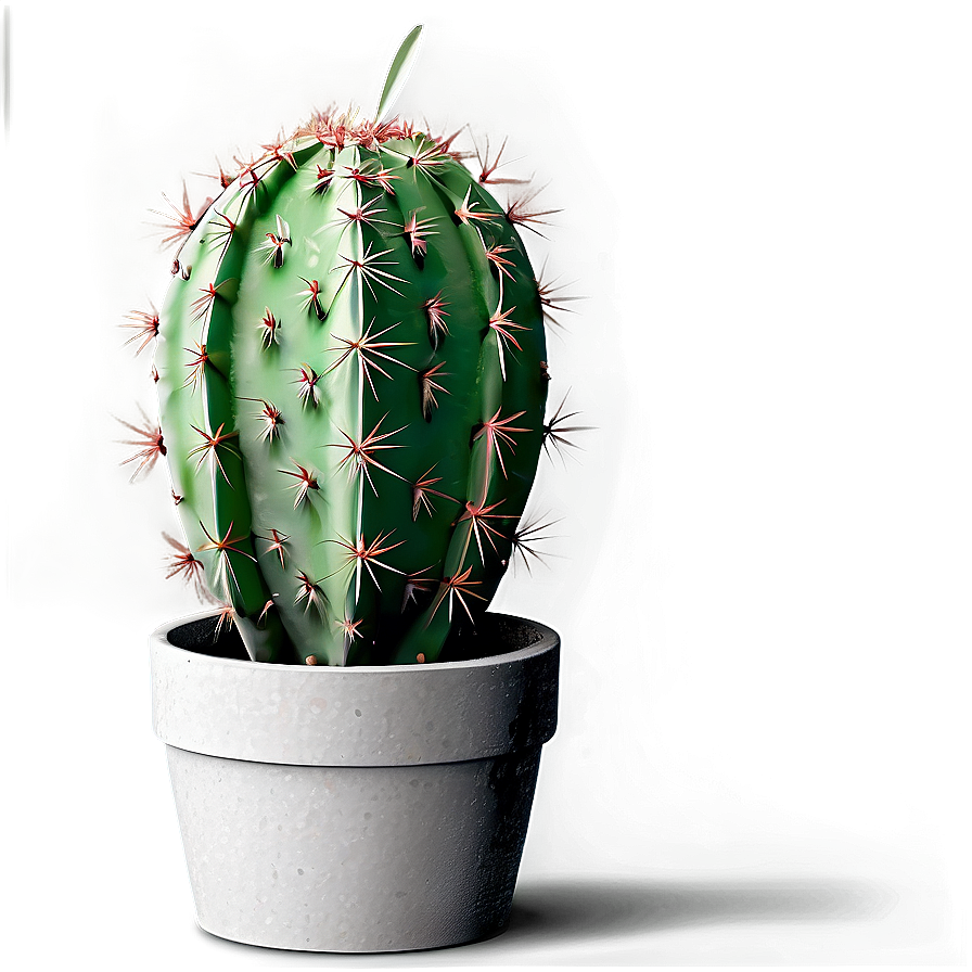 Cactus Theme Png 05032024 PNG