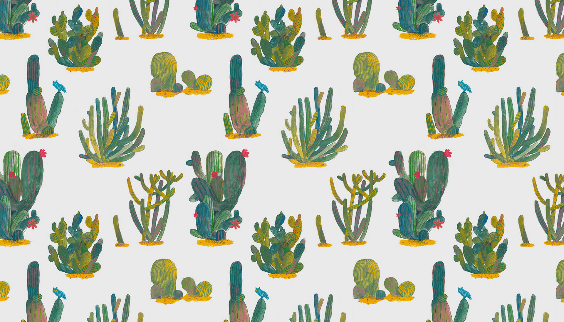 Cactuses Patterns Tumblr Wallpaper