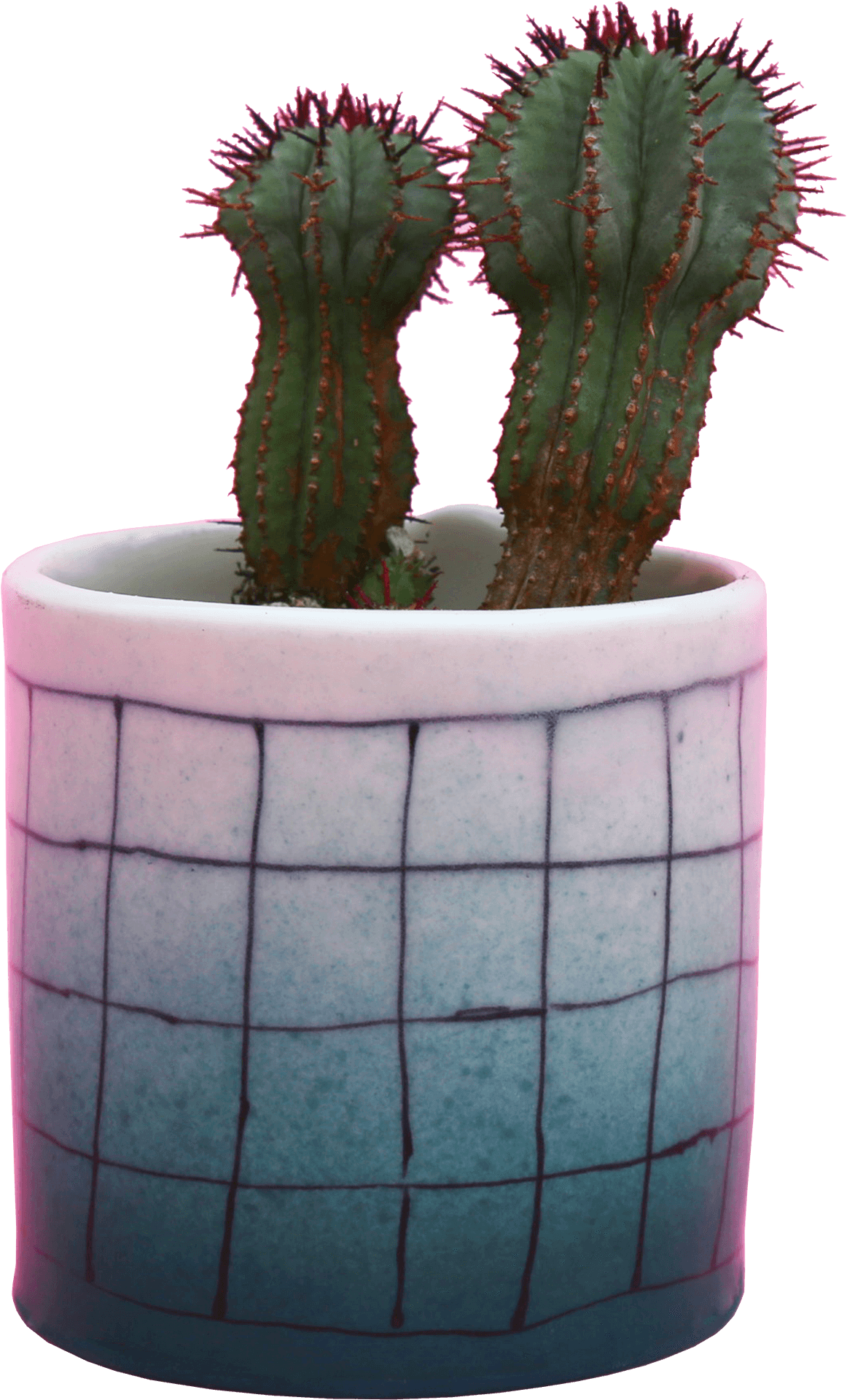Cactusin Blue Gradient Pot.png PNG
