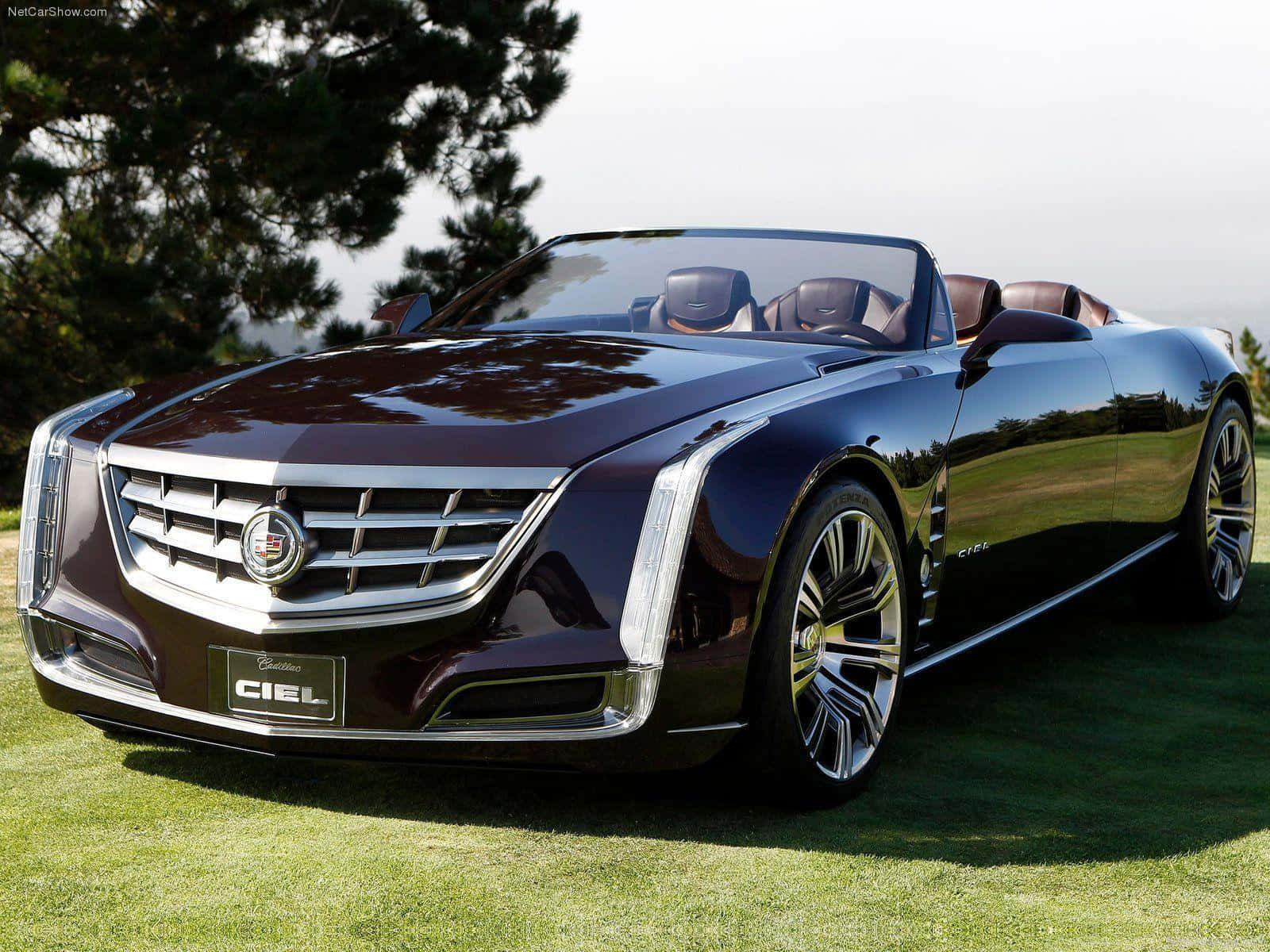 Feel the luxury of driving a Cadillac