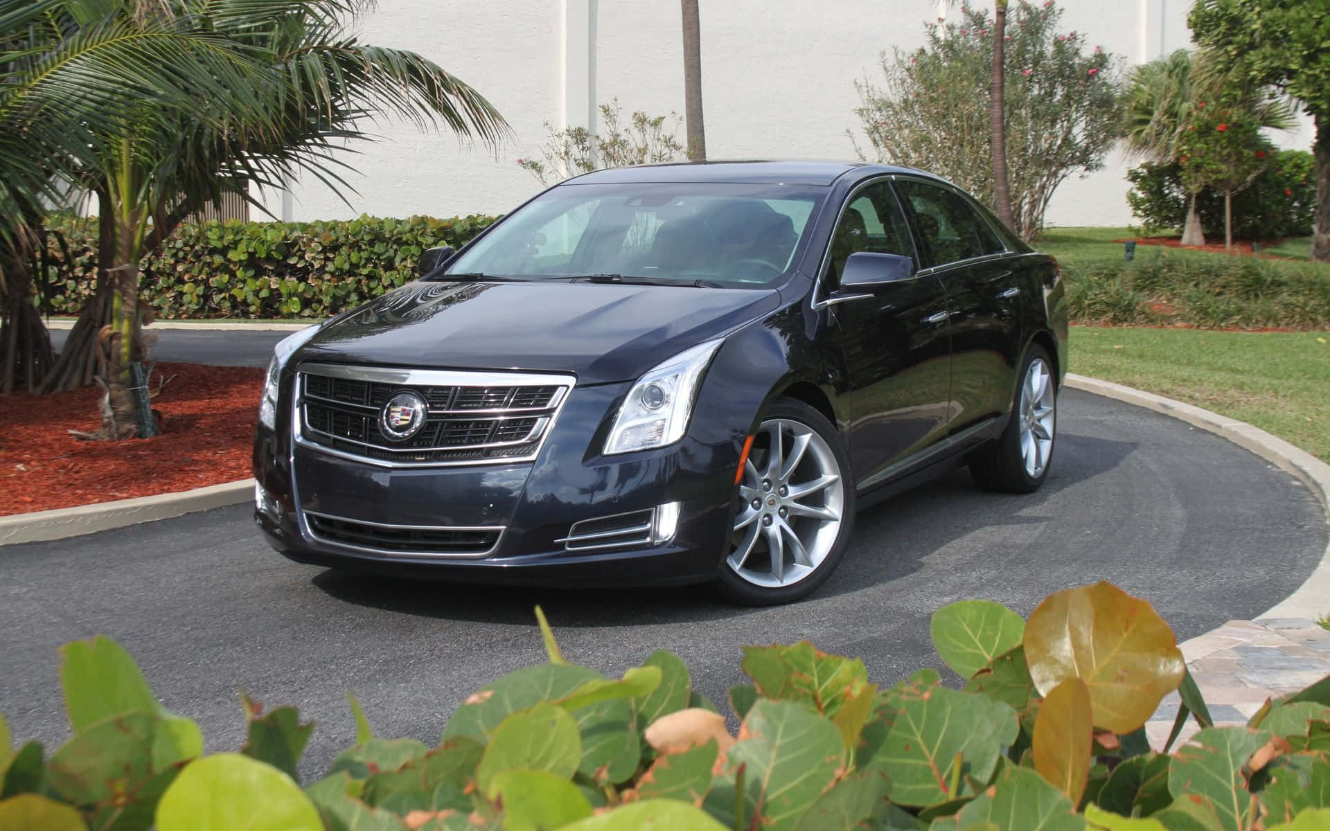 Sleek and Luxurious Cadillac XTS in the City Wallpaper
