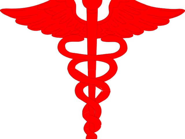 Caduceus Medical Symbol Redand Grey PNG