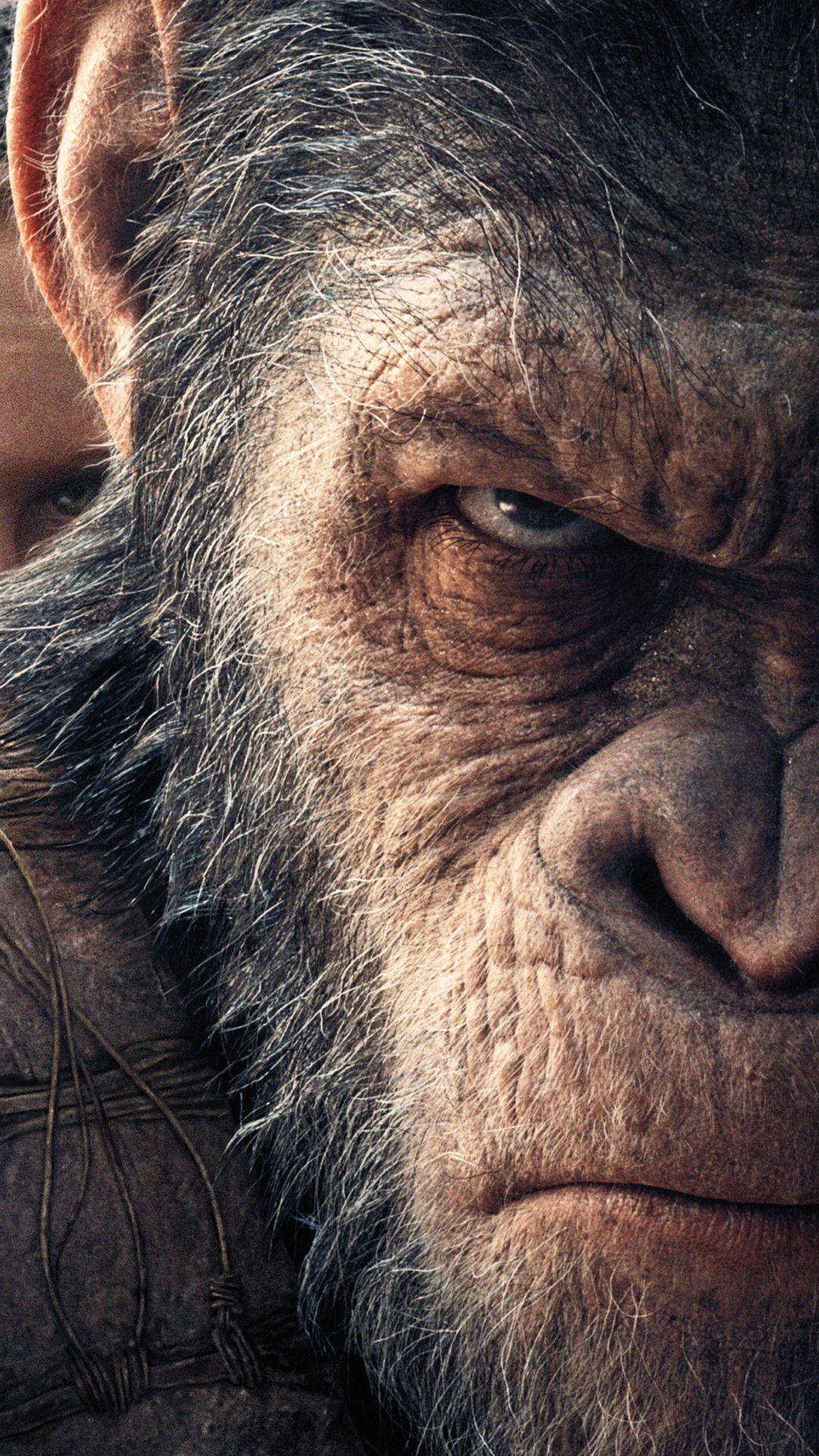 Download Caesar Close Up Planet Of The Apes Wallpaper 