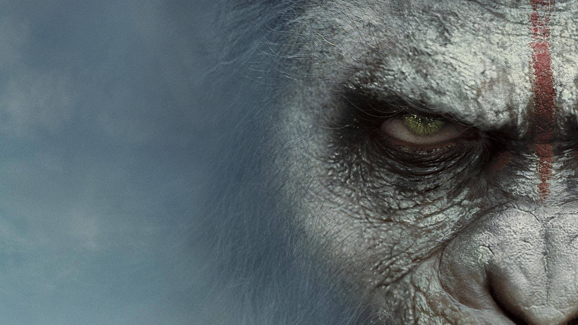 Download Caesar In War Of The Planet Of The Apes Wallpaper 