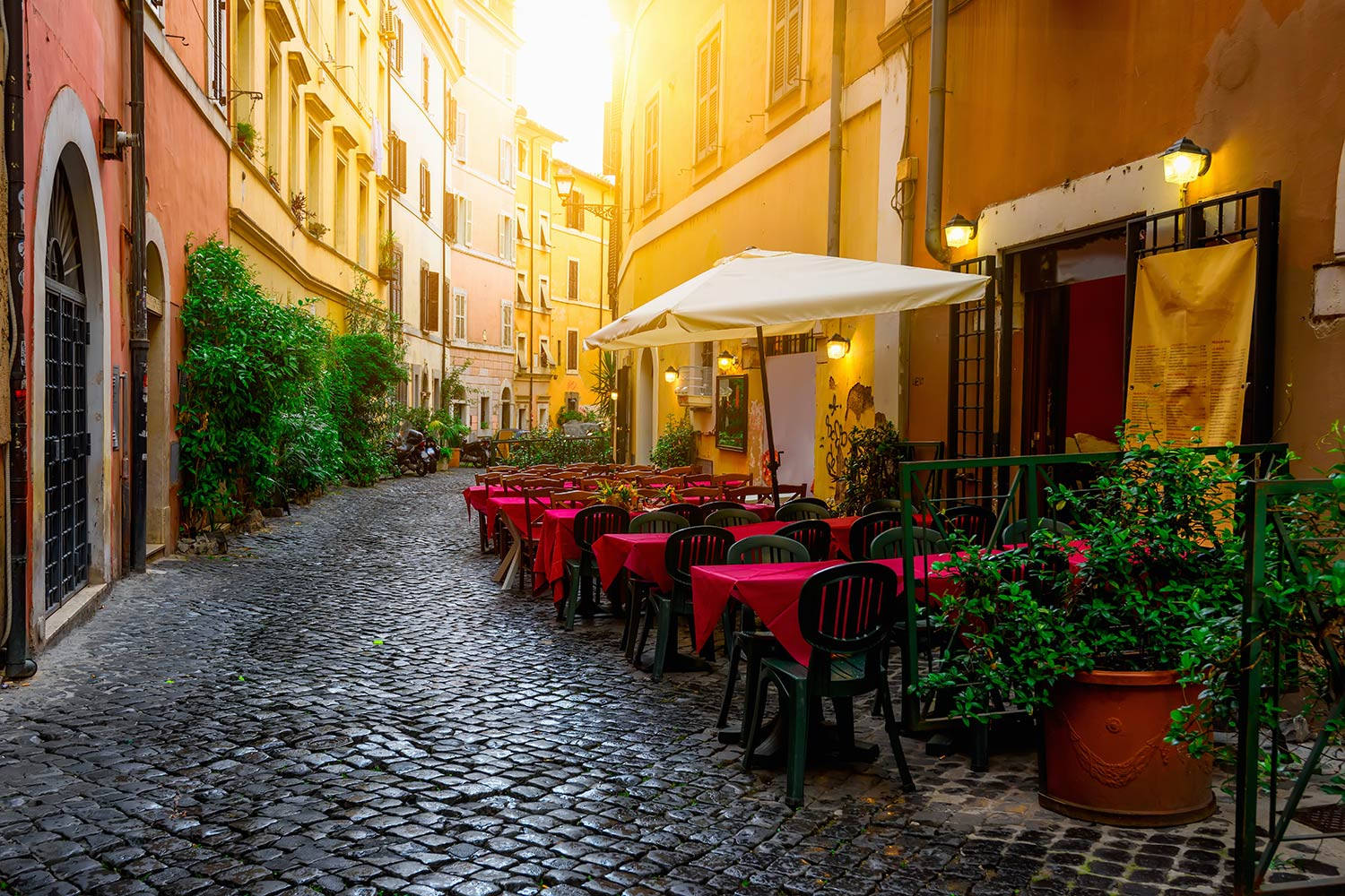 Cafe In Old Street Transtevere Rome Italy Picture