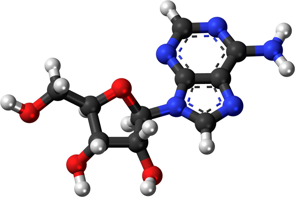 Caffeine Molecule Structure PNG