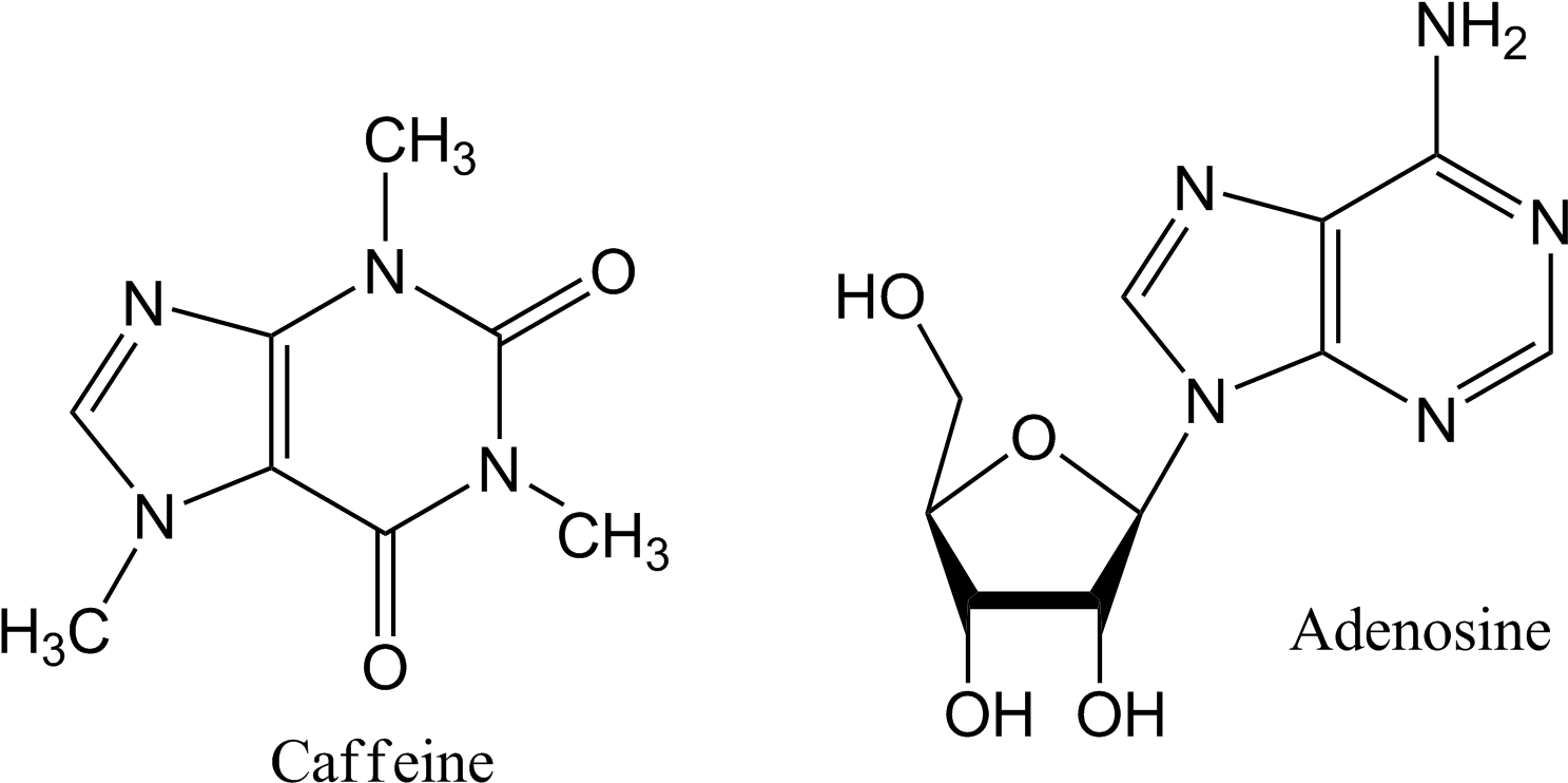 Caffeine_and_ Adenosine_ Chemical_ Structures PNG