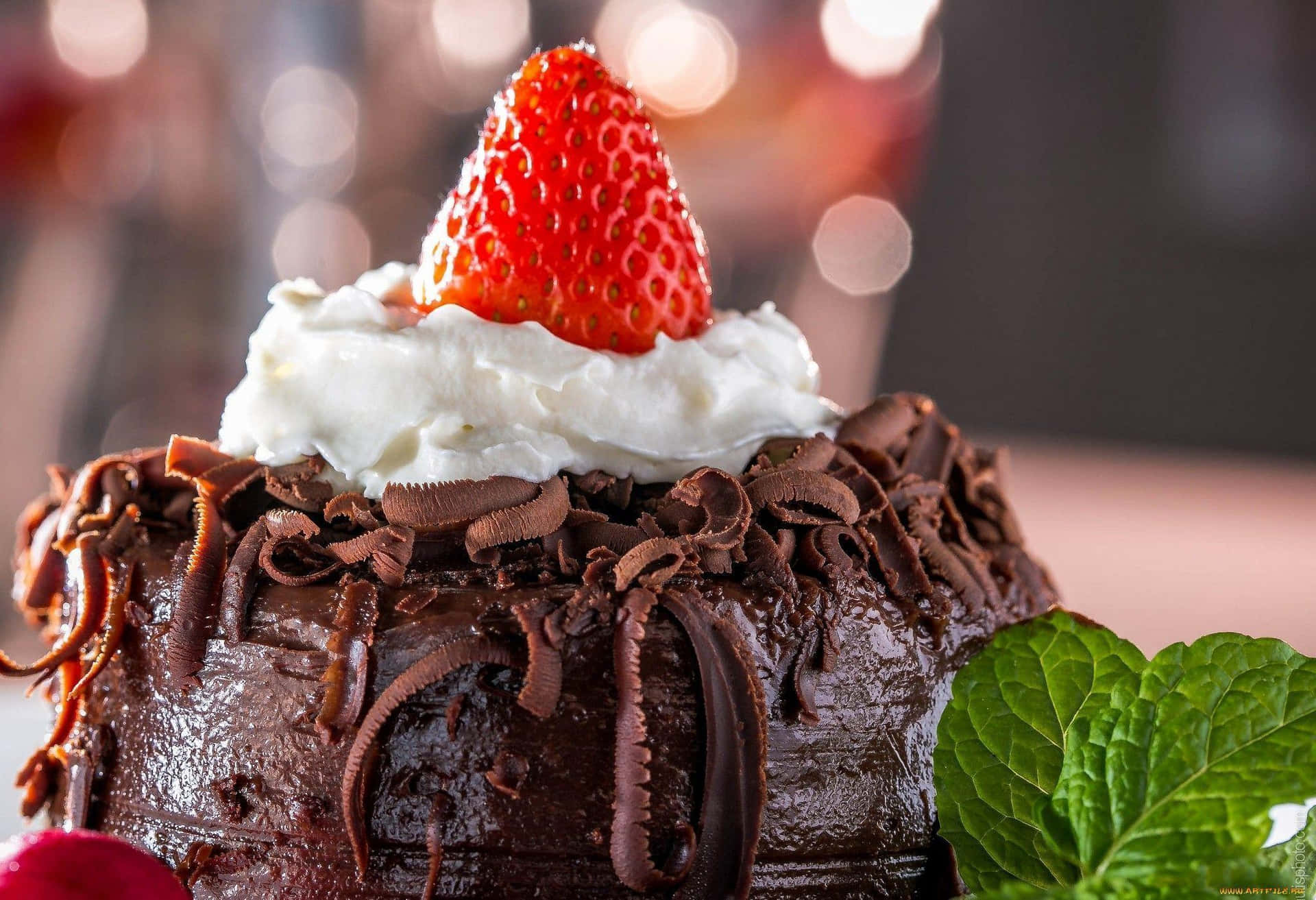 Delicious Chocolate Cake for Any Occasion