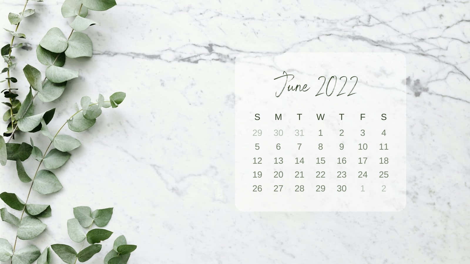 june 2022 calendar background