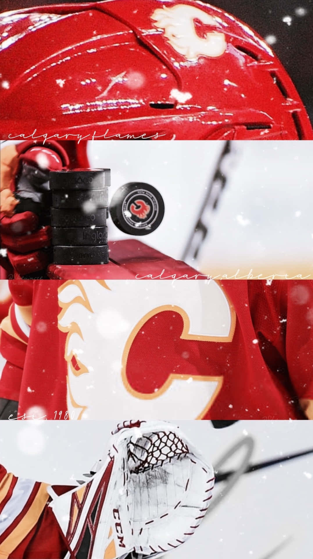 Sfondiper Il Calgary Flames Di Hockey