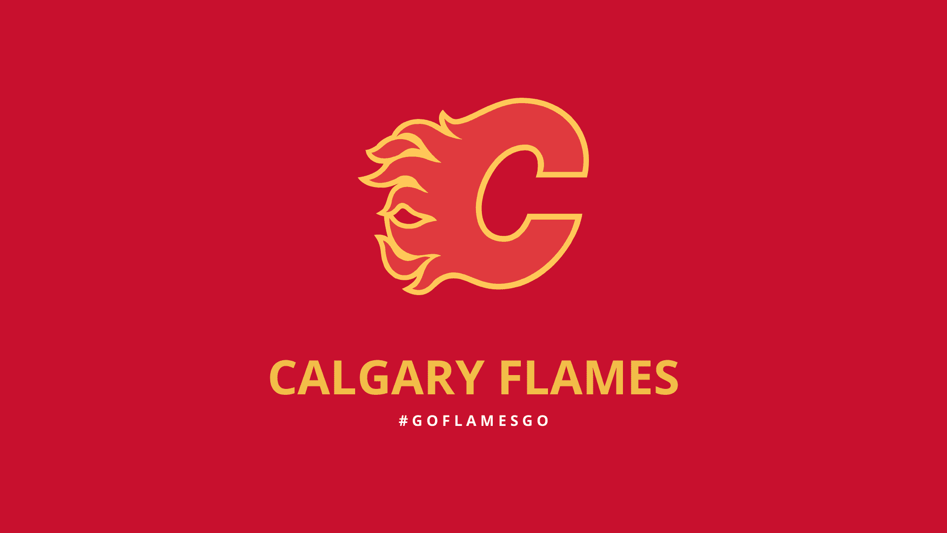 Calgary Flames Ice Hockey Action
