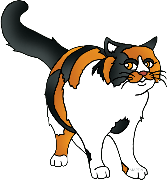 Calico Cat Cartoon Illustration PNG